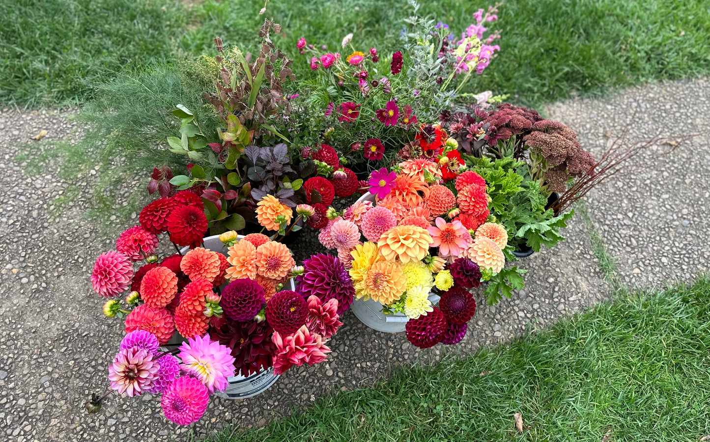 Bulk Stems (Farmer’s Choice)